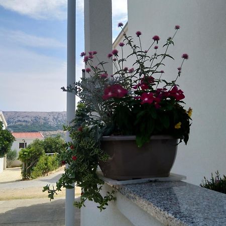 Apartment Edina Pag Pag Town Eksteriør bilde