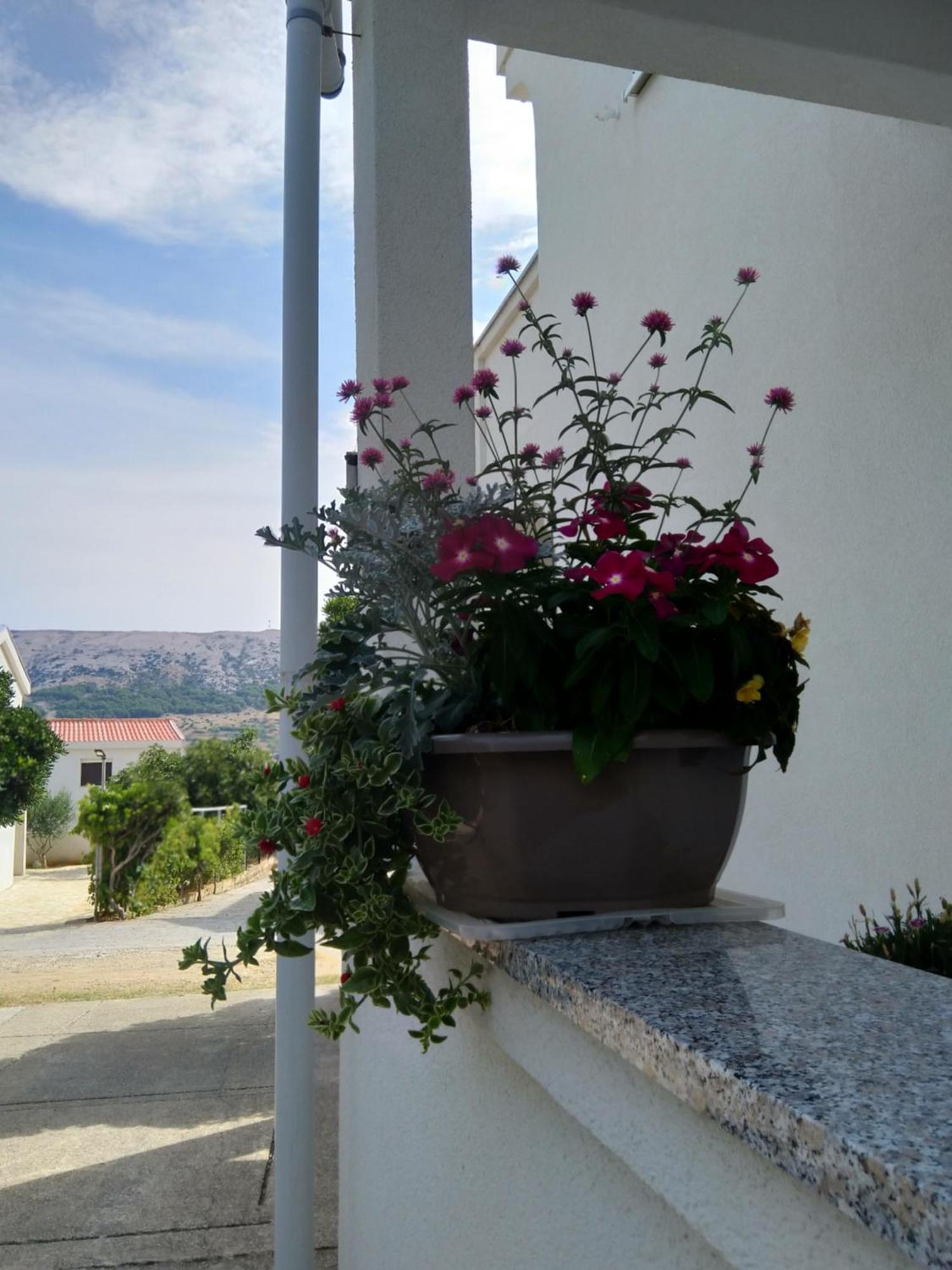 Apartment Edina Pag Pag Town Eksteriør bilde